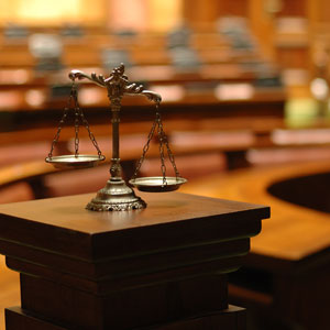 Legal and Trial Support Services